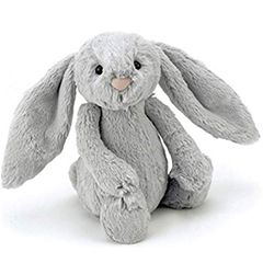 Baby Sleep Problems Help Support Guide – Evelyn Burdon – Cheshire Baby Whisperer